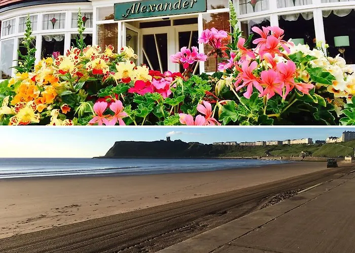 Guest house Seaside Hideaway (adults Only)